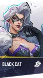 Black Cat
